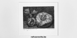 Ets uit het Prentenkabinet Raf Coorevits © 2018 Raf Coorevits, http://rafcoorevits.be